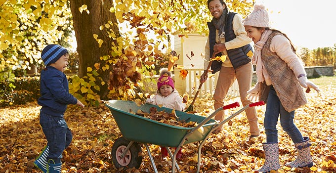 Fall Clean-Up in Two Parts: Nostalgic and Gross - Out With The Kids